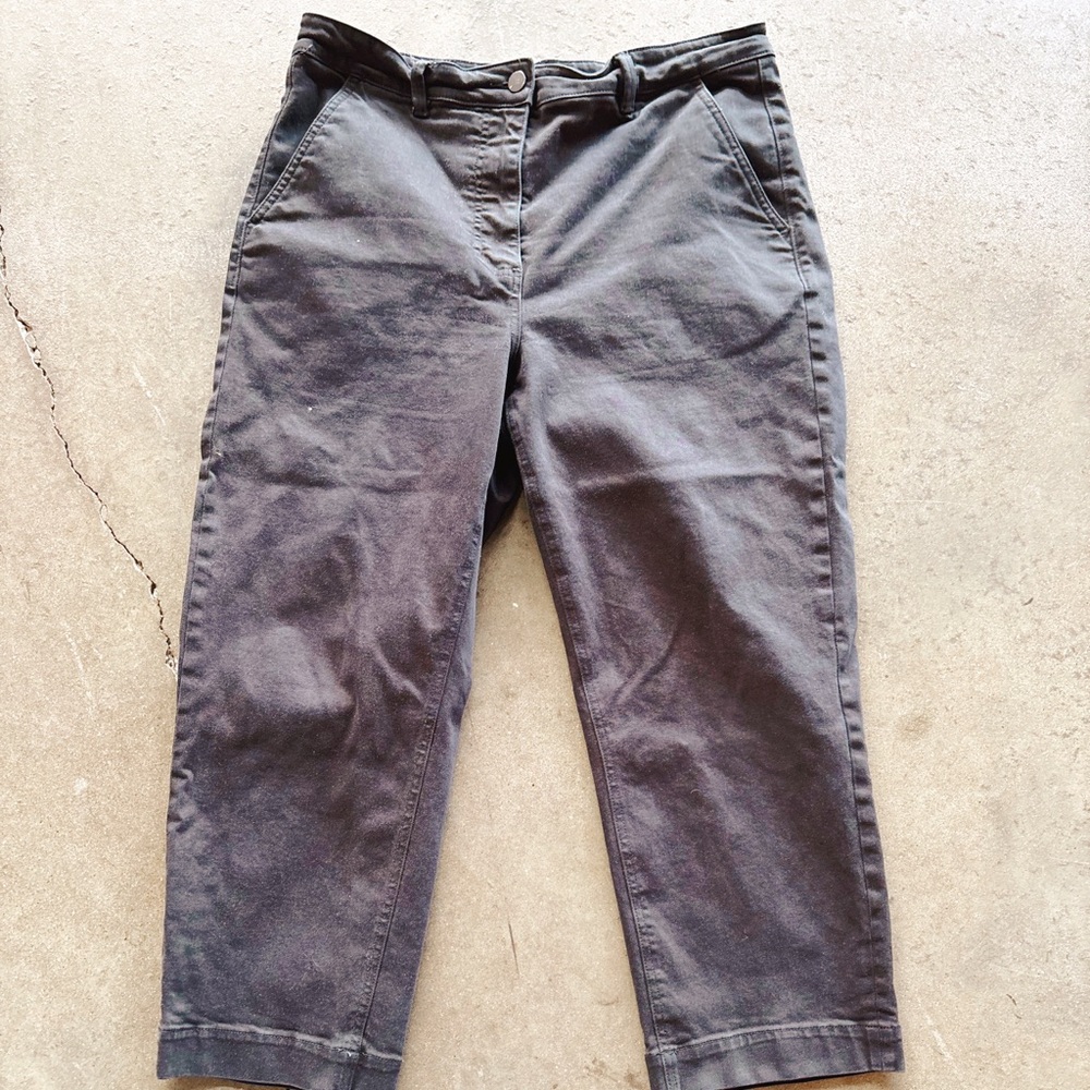 Everlane cropped straight regular chino pants